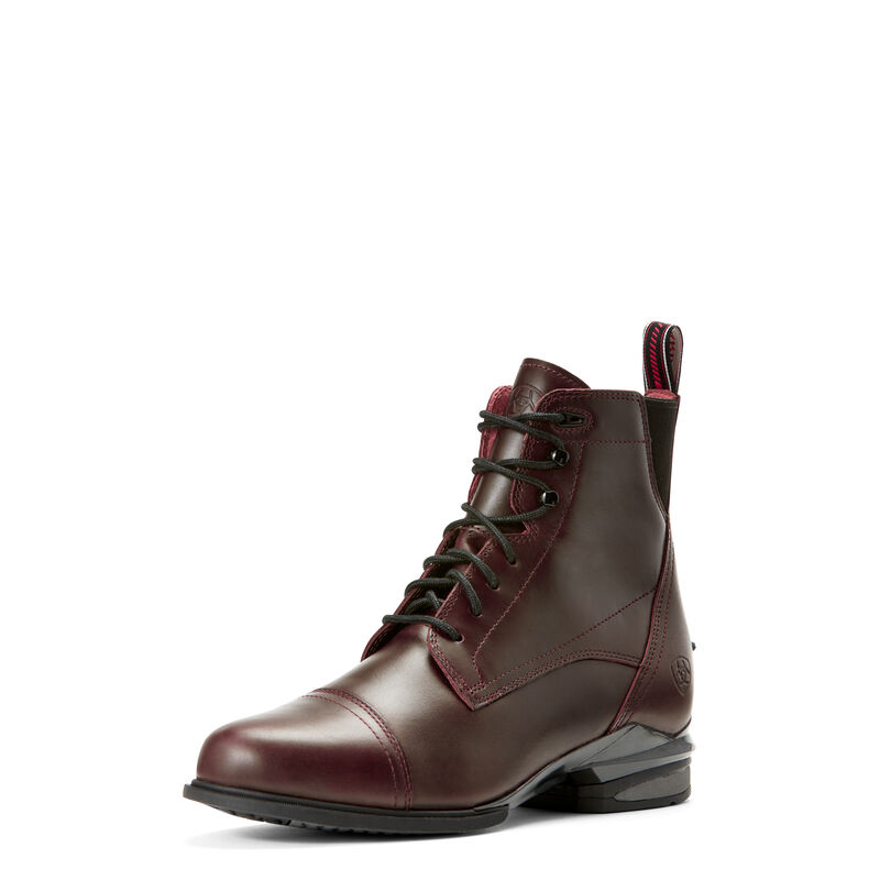 Ariat Reitstiefel Damen - Performer Nitro Paddock DunkelBraun ( PERHT-2601 )